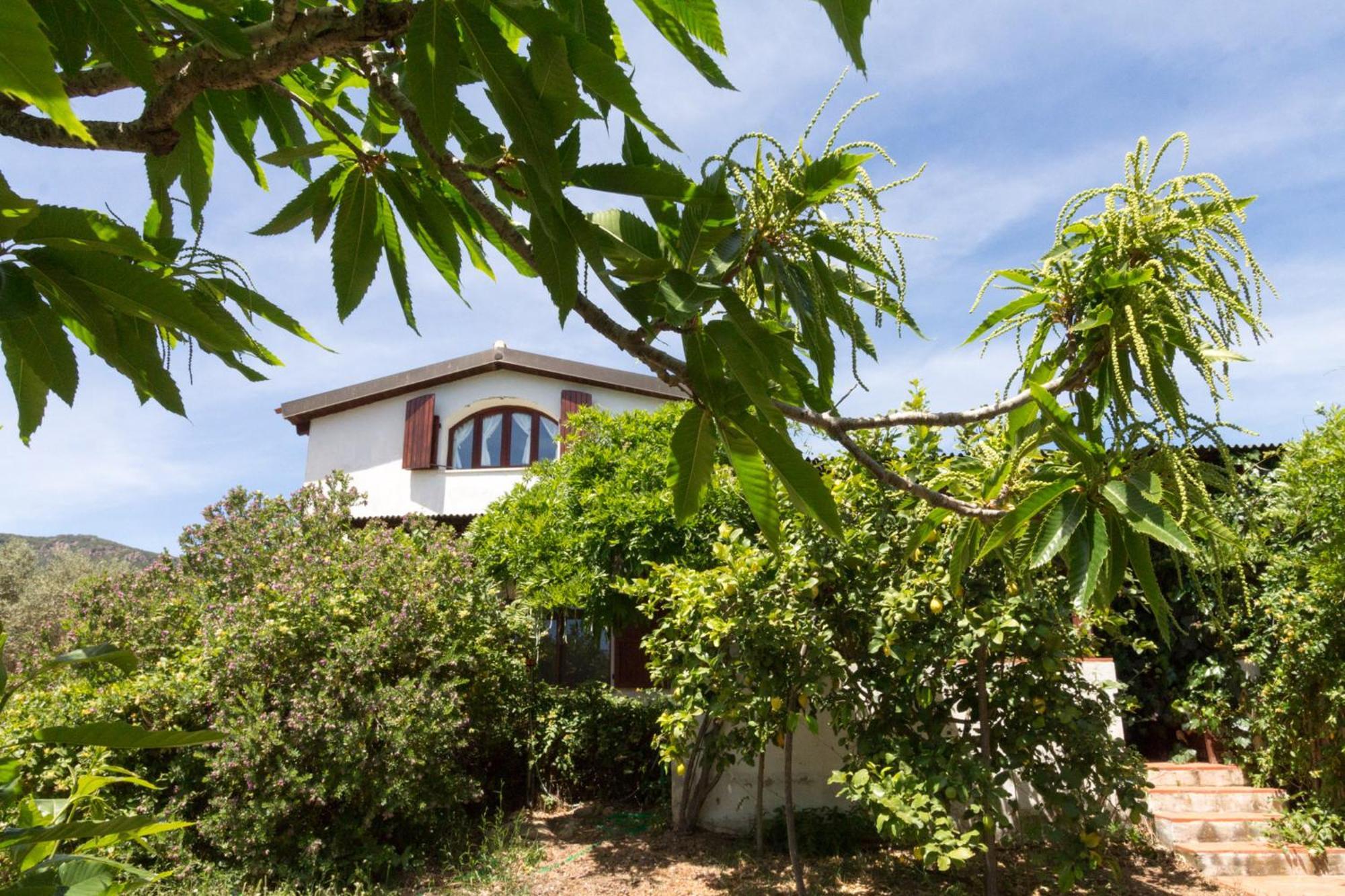 Apartamento Abba Arrubia Camisa Exterior foto